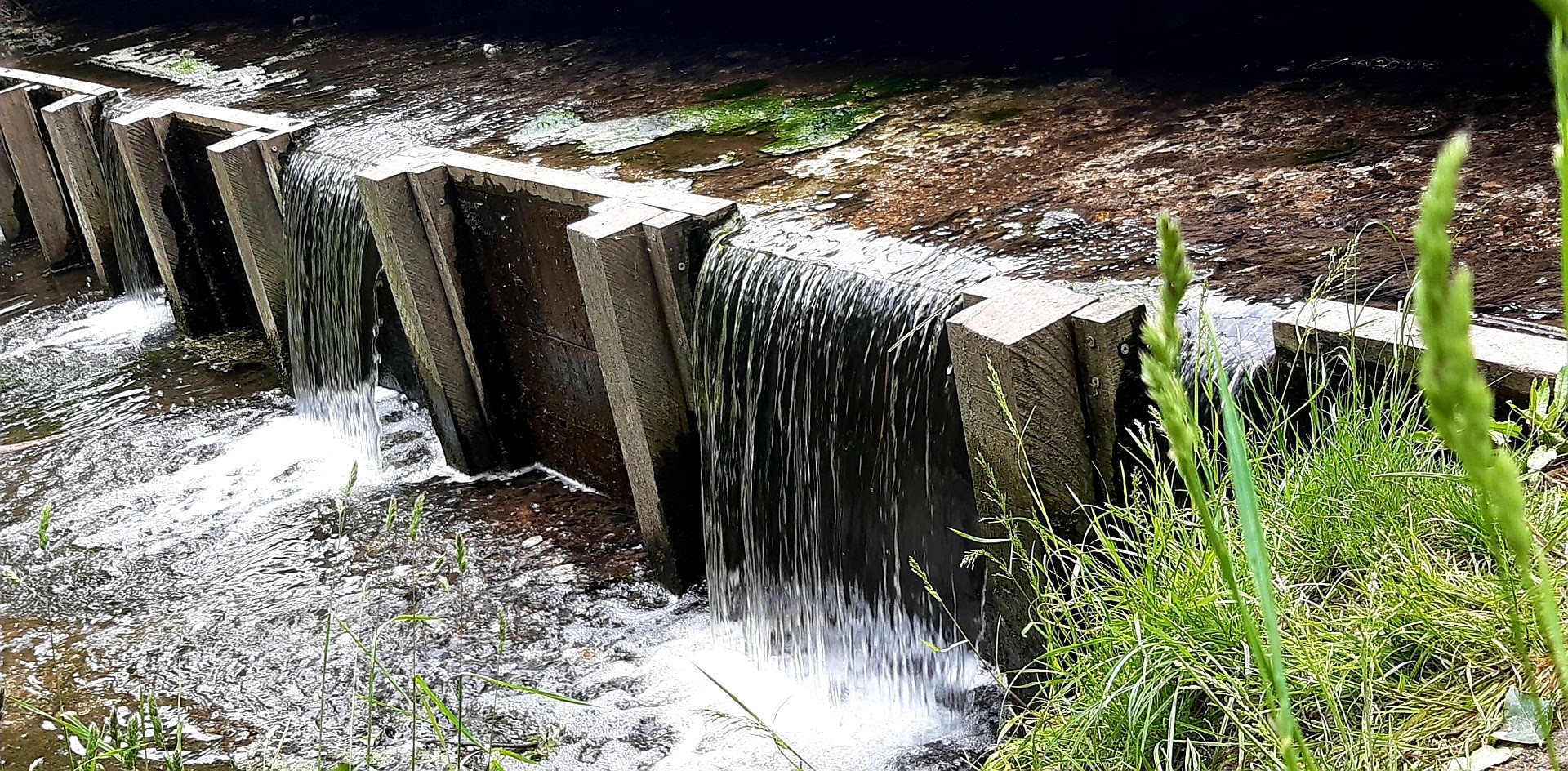 Photo n° 13 de l'avis de Lore.e fait le 24/05/2020 à 16:12