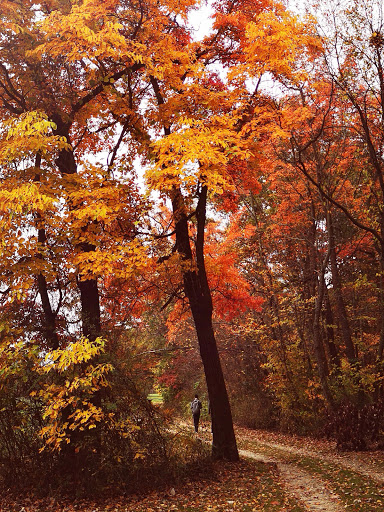 Vista Point «Ledges Overlook», reviews and photos, 405 Truxell Rd, Peninsula, OH 44264, USA