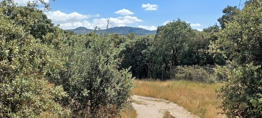 El Coto De Las Suertes