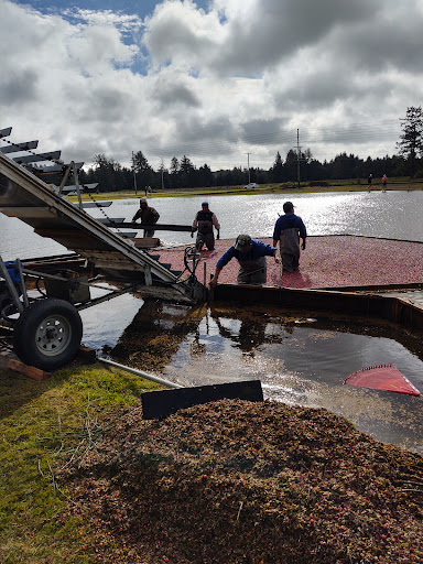 Museum «Cranberry Museum», reviews and photos, 2907 Pioneer Rd, Long Beach, WA 98631, USA