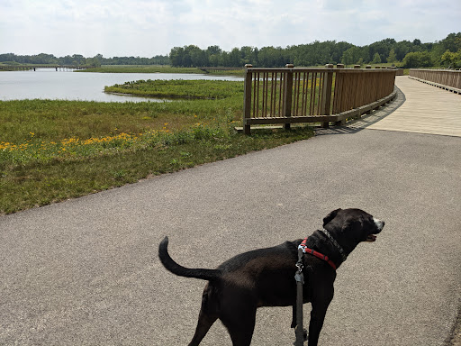 Nature Preserve «Buffalo Creek Forest Preserve», reviews and photos, 18163 W Checker Rd, Long Grove, IL 60047, USA