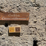 Photo n°6 de l'avis de Vitória.a fait le 01/07/2023 à 19:17 sur le  Residenza d'Epoca Borgodifiume à Fiumefreddo Bruzio