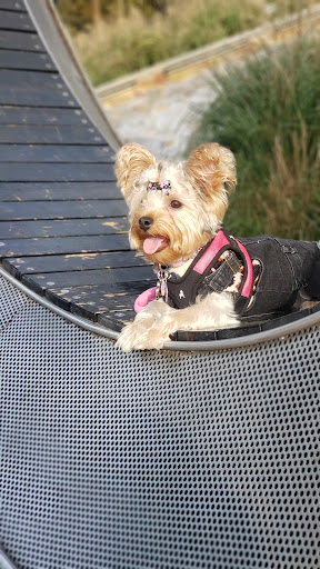 Park «Town Green Park», reviews and photos, 2099 Lake Robbins Dr, The Woodlands, TX 77380, USA