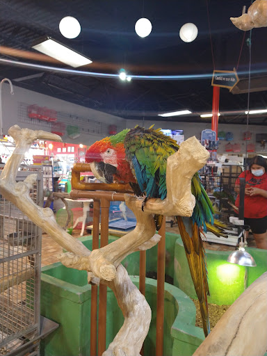 Pet Store «Exotic Tropical Petworld LLC.», reviews and photos, 1716 W Hackberry Ave, McAllen, TX 78501, USA