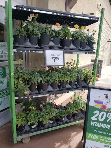 Health Food Store «Sprouts Farmers Market», reviews and photos, 24285 Magic Mountain Pkwy, Valencia, CA 91355, USA