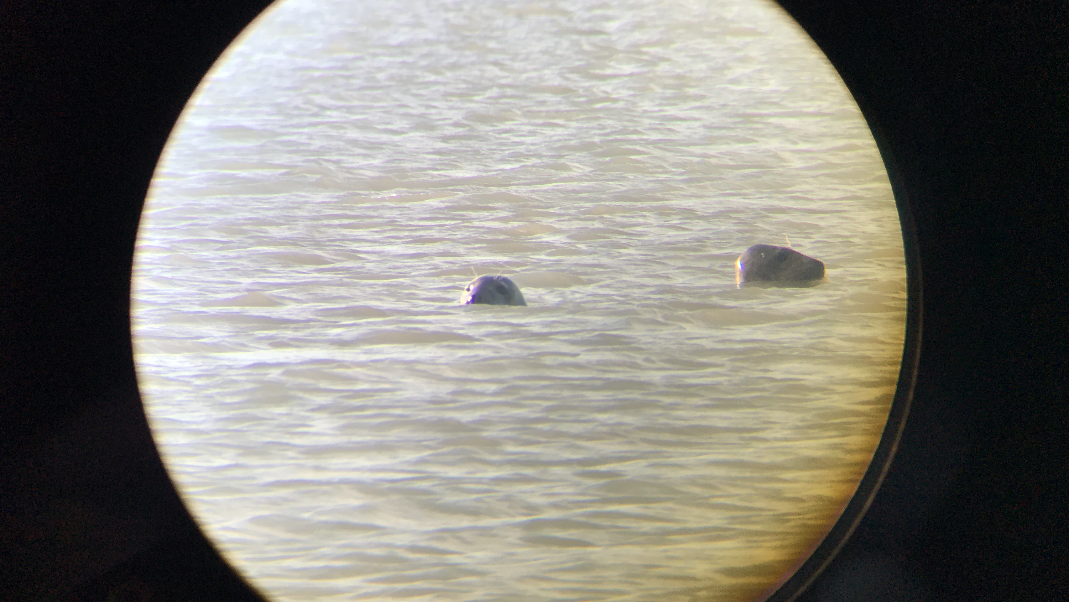 Photo n° 1 de l'avis de Un.o fait le 01/12/2017 à 19:48