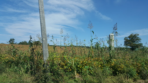 Nature Preserve «Sadsbury Woods Preserve», reviews and photos, Ramblewood Dr & Northwood Dr, Coatesville, PA 19320, USA