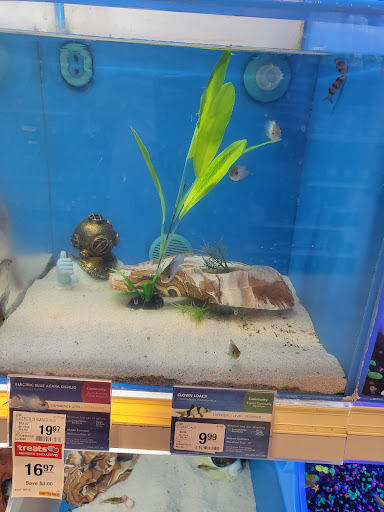 Pet Supply Store «PetSmart», reviews and photos, 1160 Stafford Market Pl, Stafford, VA 22556, USA