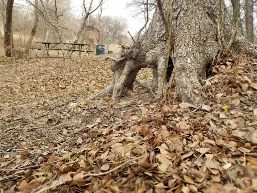 Park «Turner Park», reviews and photos, 600 N Belt Line Rd, Grand Prairie, TX 75050, USA