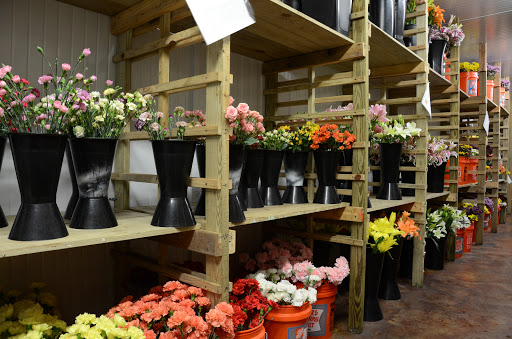 Florist «Flowers By Shirley», reviews and photos, 2200 US-1, St Augustine, FL 32086, USA