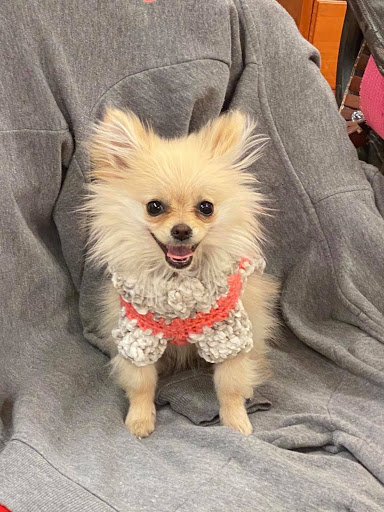 Pet Supply Store «Petco Animal Supplies», reviews and photos, 1255 Raritan Rd #140, Clark, NJ 07066, USA