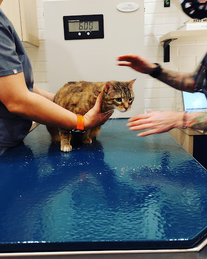 Bond Vet - Union image