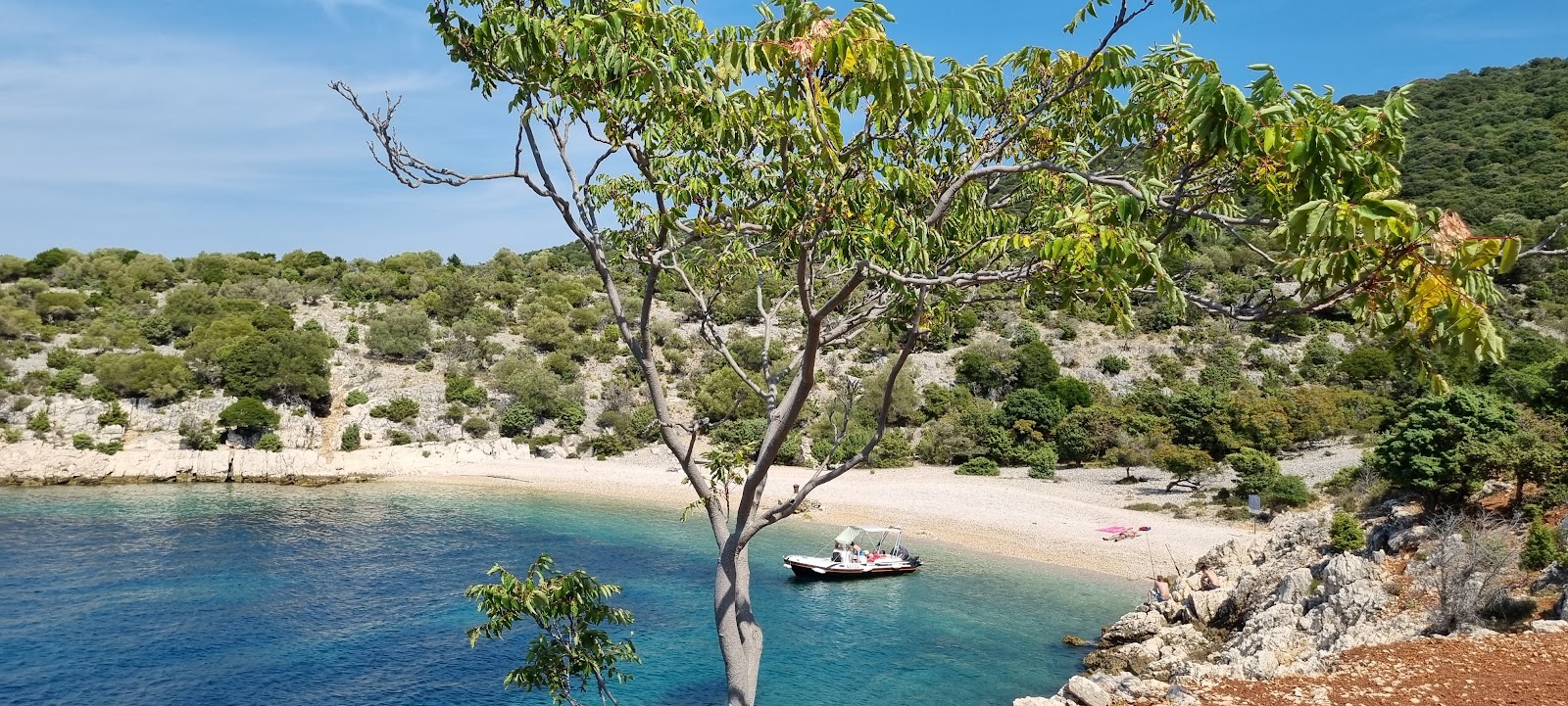 Beach Grabrovica'in fotoğrafı çok temiz temizlik seviyesi ile