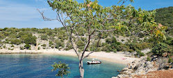 Beach Grabrovica'in fotoğrafı çok temiz temizlik seviyesi ile