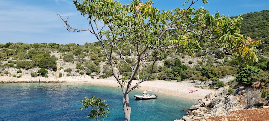 Beach Grabrovica