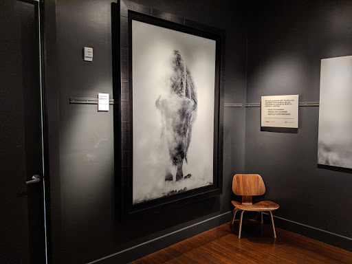 Art Gallery «National Geographic | Fine Art Galleries», reviews and photos, 607 E Las Olas Blvd, Fort Lauderdale, FL 33301, USA