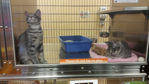 Pet Supply Store «PetSmart», reviews and photos, 573 N McKinley St, Corona, CA 92879, USA