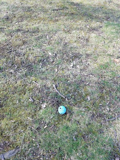 Park «Plum Creek Park», reviews and photos, Cherry St, Kent, OH 44240, USA