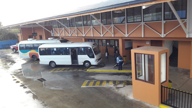 Terminal Rodoviario Villarrica
