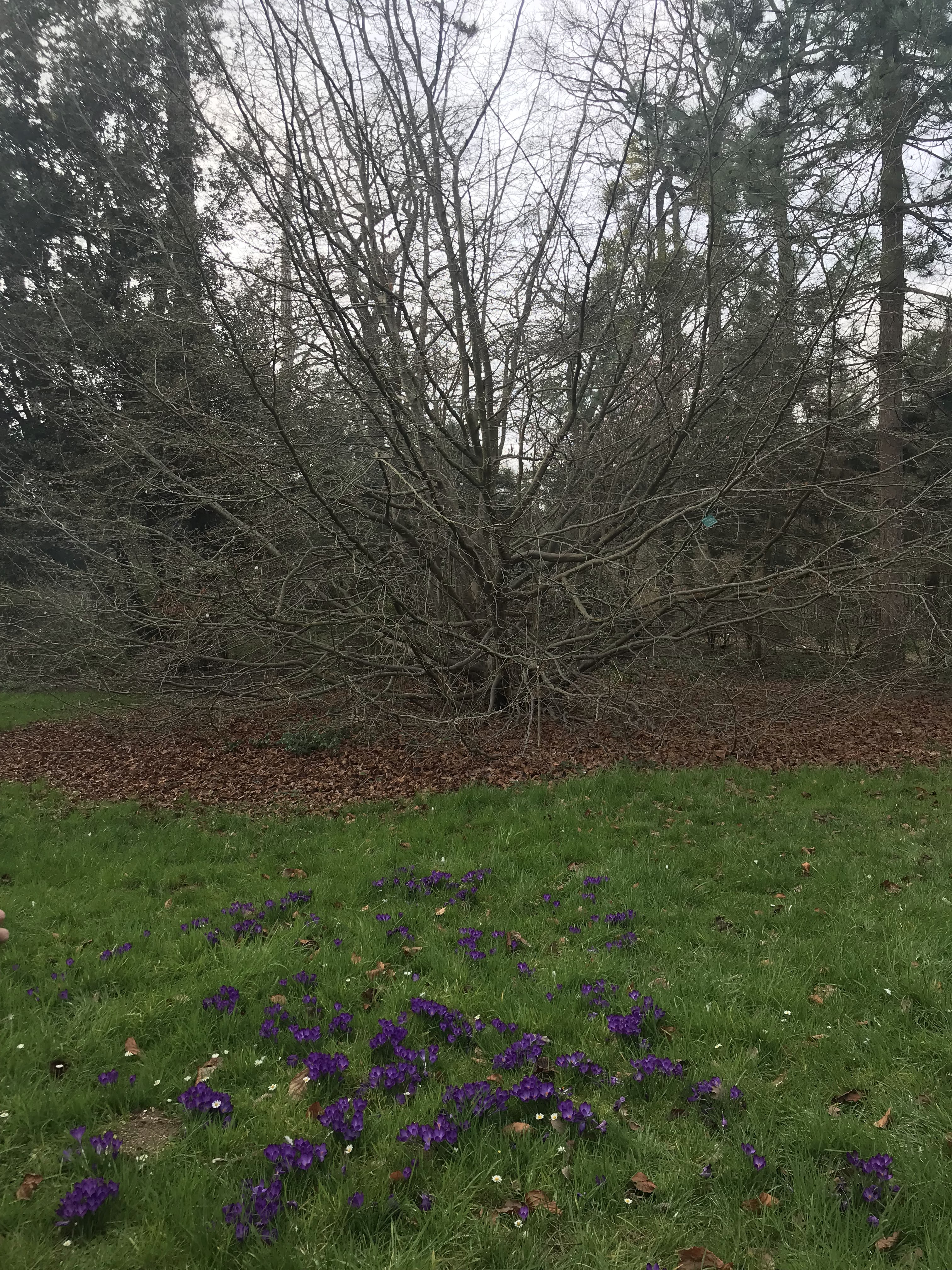 Photo n° 6 de l'avis de mihnea.n fait le 29/03/2019 à 17:57