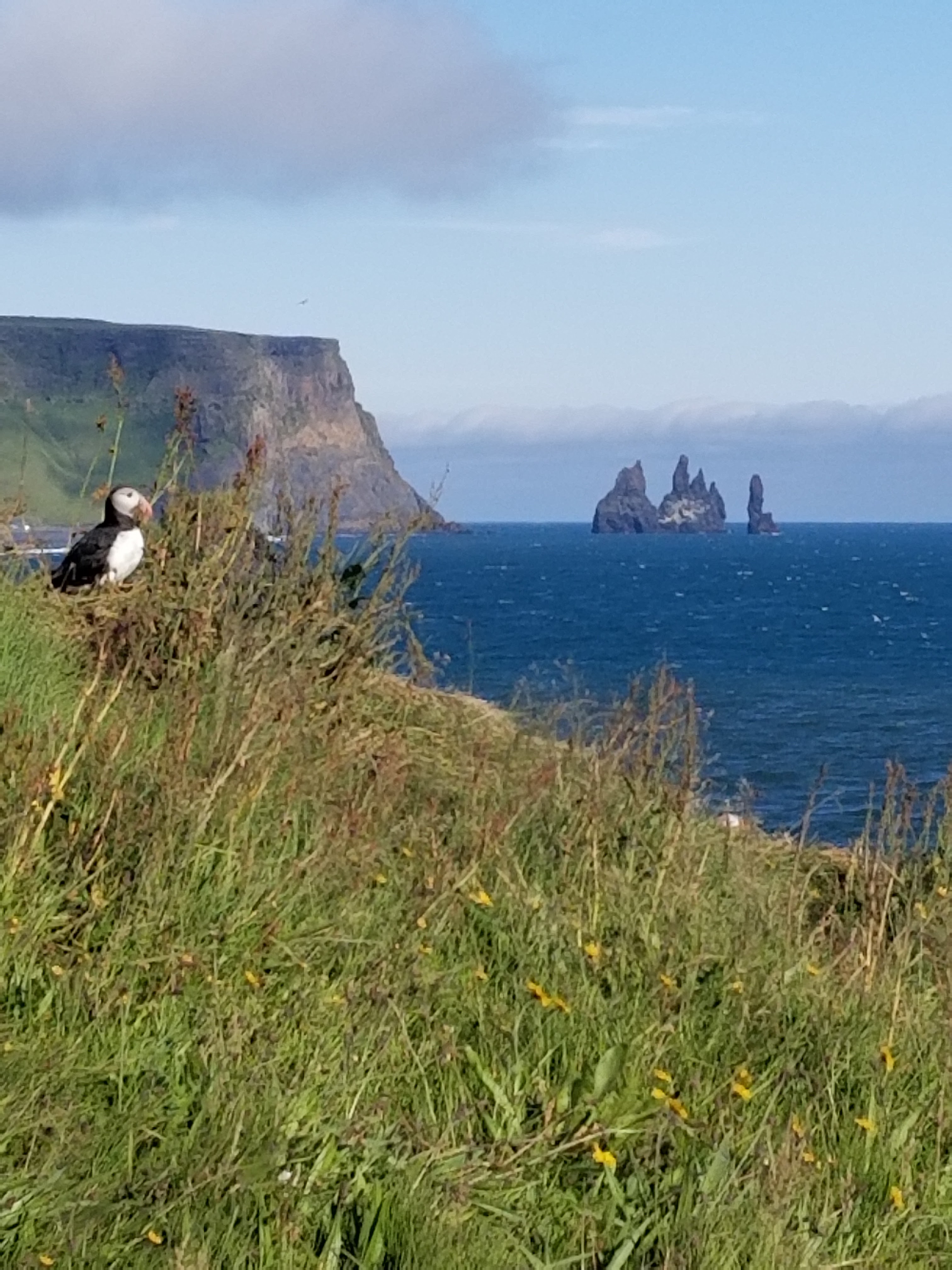 Photo n° 4 de l'avis de co.A fait le 17/08/2021 à 13:26