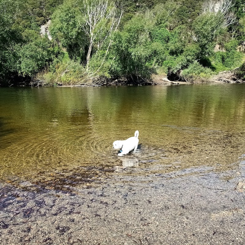 Outram Glen Scenic Reserve