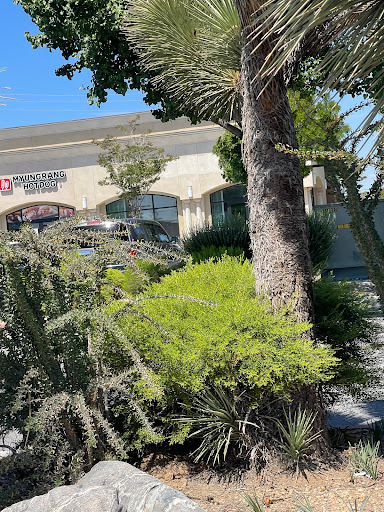 Starbucks image