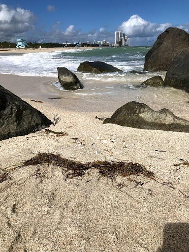 Park «Haulover Park», reviews and photos, 10800 Collins Ave, Miami Beach, FL 33154, USA