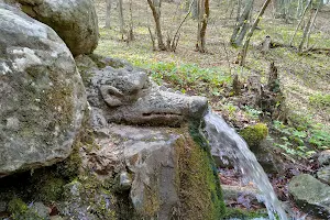 Living Water Spring image