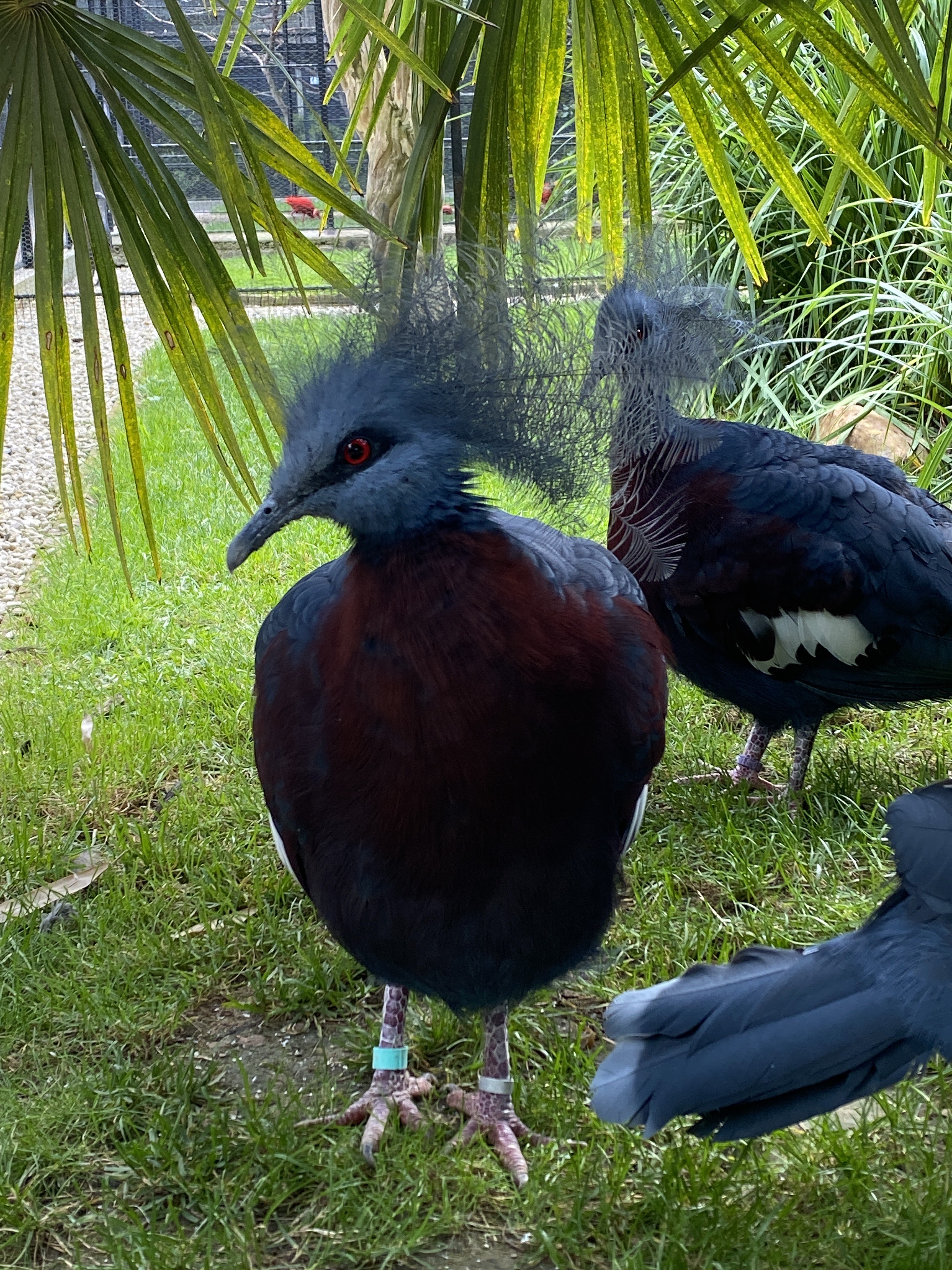 Photo n° 5 de l'avis de Laetitia.r fait le 15/08/2023 à 14:48