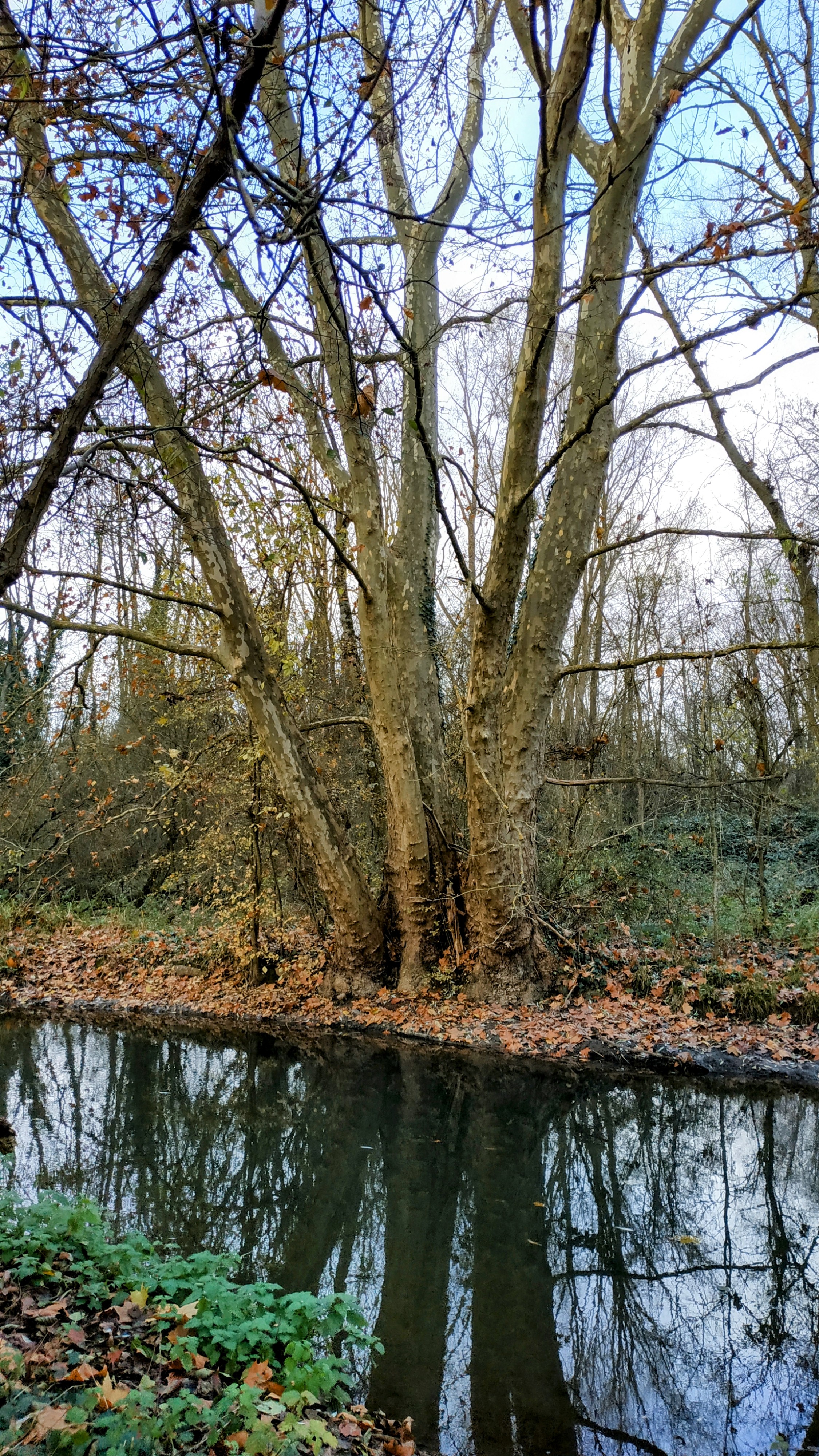 Photo n° 8 de l'avis de The.a fait le 12/12/2022 à 16:29