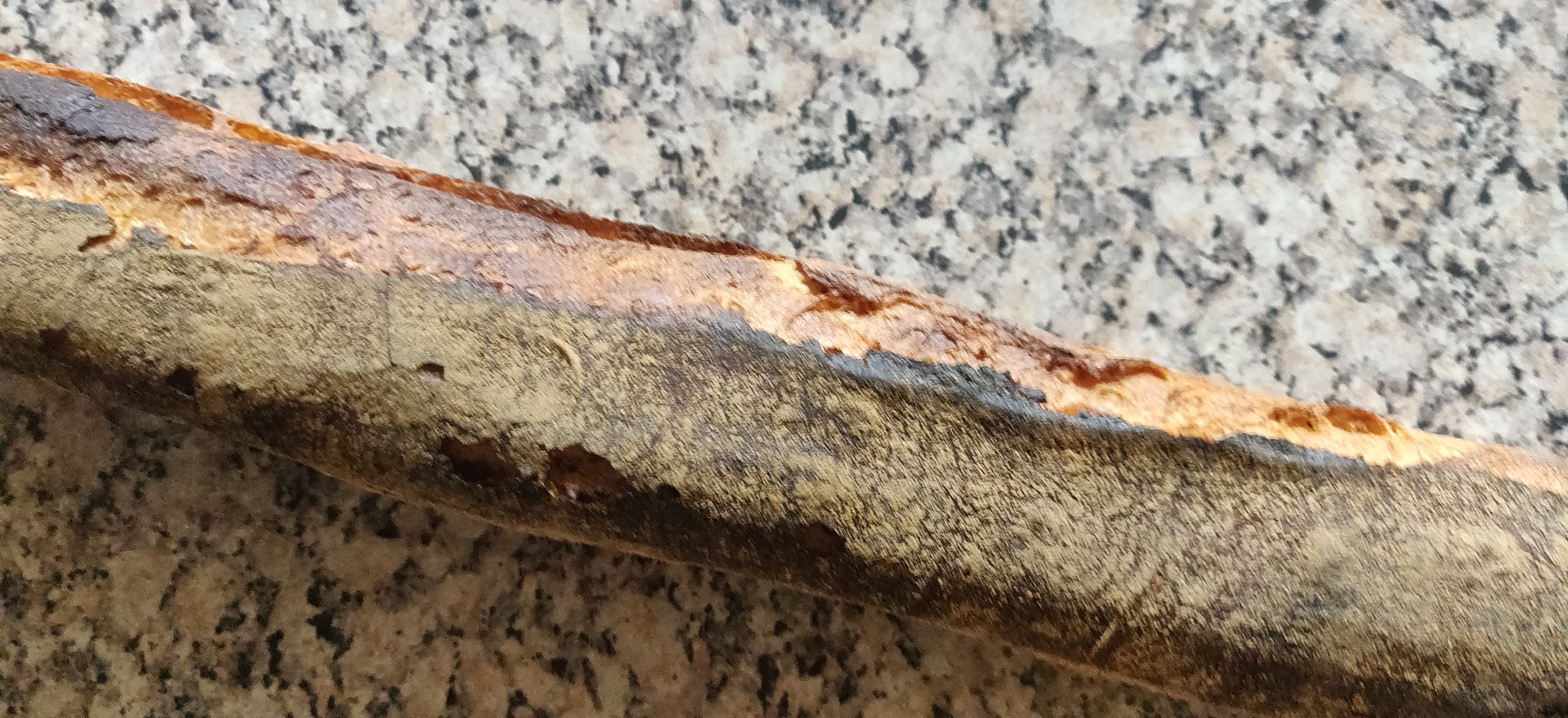 Photo n° 2 de l'avis de Antoine. fait le 27/11/2019 à 16:05