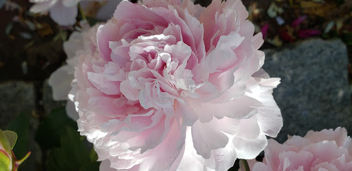 Memorial Park «Boothe Memorial Park», reviews and photos, 5800 Main St, Stratford, CT 06614, USA