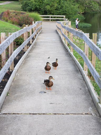 Park «Corwin M Nixon Park», reviews and photos, 6249 Mason Montgomery Rd, Mason, OH 45040, USA