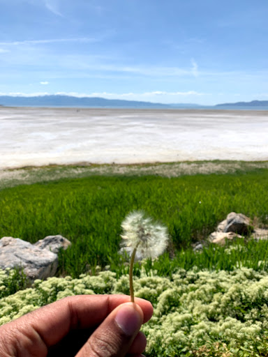 Concert Hall «The Great Saltair», reviews and photos, 12408 West Saltair Drive, Magna, UT 84044, USA