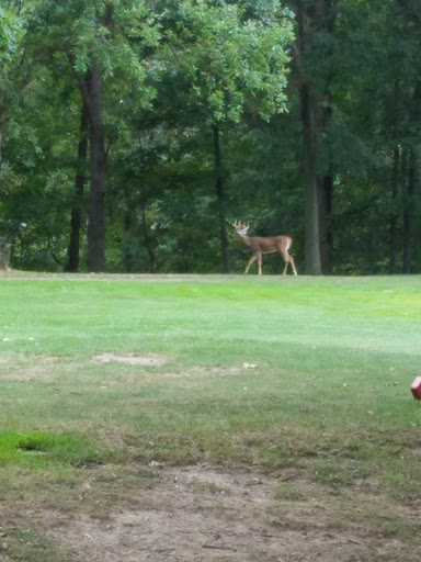 Golf Course «Ridgewood Golf Course», reviews and photos, 6505 Ridge Rd, Cleveland, OH 44129, USA