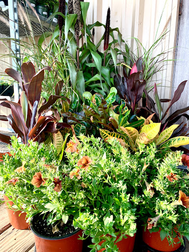 Animal Feed Store «Mid-County Farm & Feed Supply», reviews and photos, 128 S Twin City Hwy, Nederland, TX 77627, USA