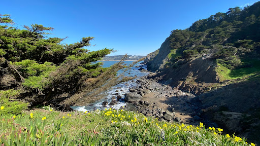 Scenic Spot «Lands End Labyrinth», reviews and photos, Lands End Trail, San Francisco, CA 94121, USA