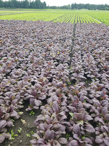 Thrift Store «Aberdeen Goodwill», reviews and photos