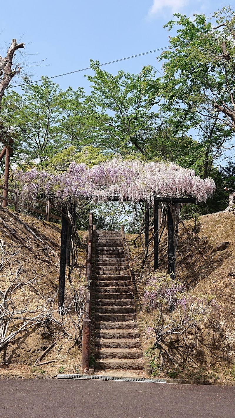 香山寺市民の森 三重の塔展望台 高知県四万十市坂本 展望台 グルコミ