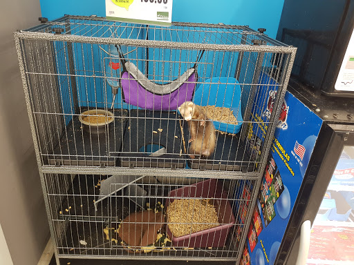 Pet Supply Store «Pet Supplies Plus», reviews and photos, 3074 Wake Forest Rd, Raleigh, NC 27609, USA