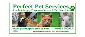 Perfect Pet Services - Perfect Doggy Daycare Centre & Pet Services
