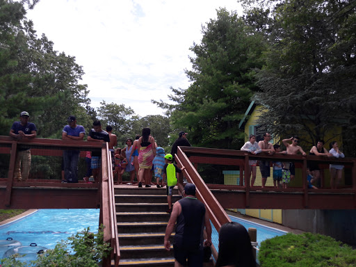 Water Park «Splish Splash Water Park», reviews and photos, 2549 Splish Splash Dr, Calverton, NY 11933, USA