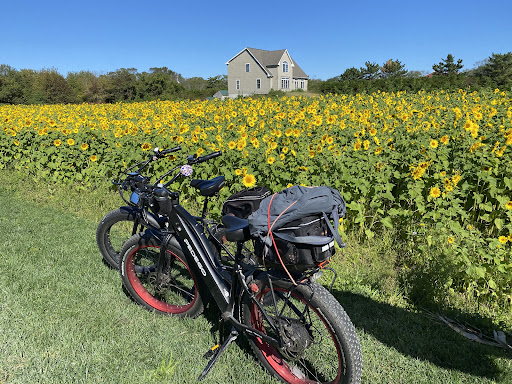 Bicycle Store «Pedego Electric Bikes of Spring Lake», reviews and photos, 217 Jersey Ave, Spring Lake, NJ 07762, USA