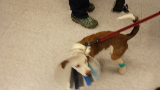 Pet Supply Store «Pet Food Warehouse, Ltd.», reviews and photos, 2455 Shelburne Rd, Shelburne, VT 05482, USA