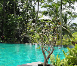 Permata Ayung Private Estate photo