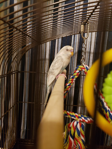 Pet Supply Store «PetSmart», reviews and photos, 5050 SE 14th St, Des Moines, IA 50320, USA