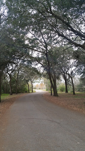 Park «Davis Park», reviews and photos, 612 N Parsons Ave, Brandon, FL 33510, USA