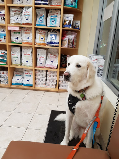 Chapman Mills Animal Hospital image