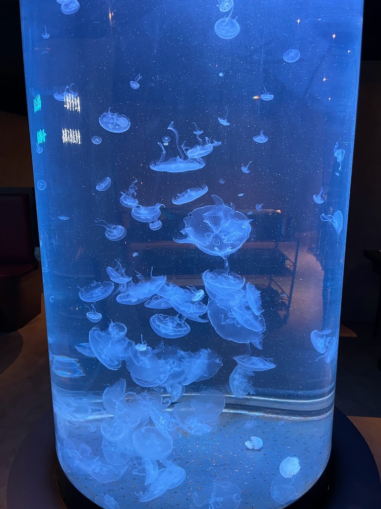 ToSea Restaurant-三民海鮮餐廳|熱門鍋物|人氣鍋物|人氣餐廳|必吃火鍋|聚餐餐廳 的照片